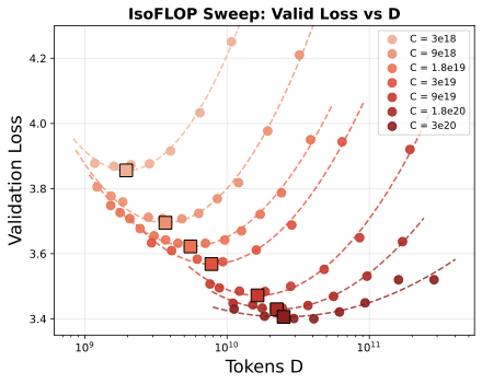 Validation NLL vs training tokens D